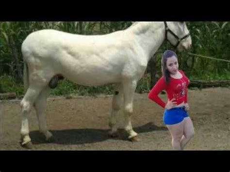 follada por un.burro